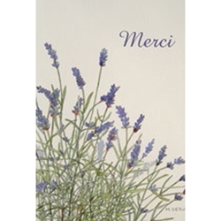 Greeting Cards - "Merci" Lavender Bouquet 