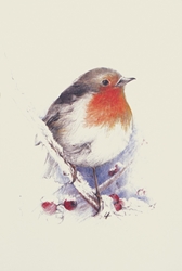 Holiday Greeting Cards - Robin  